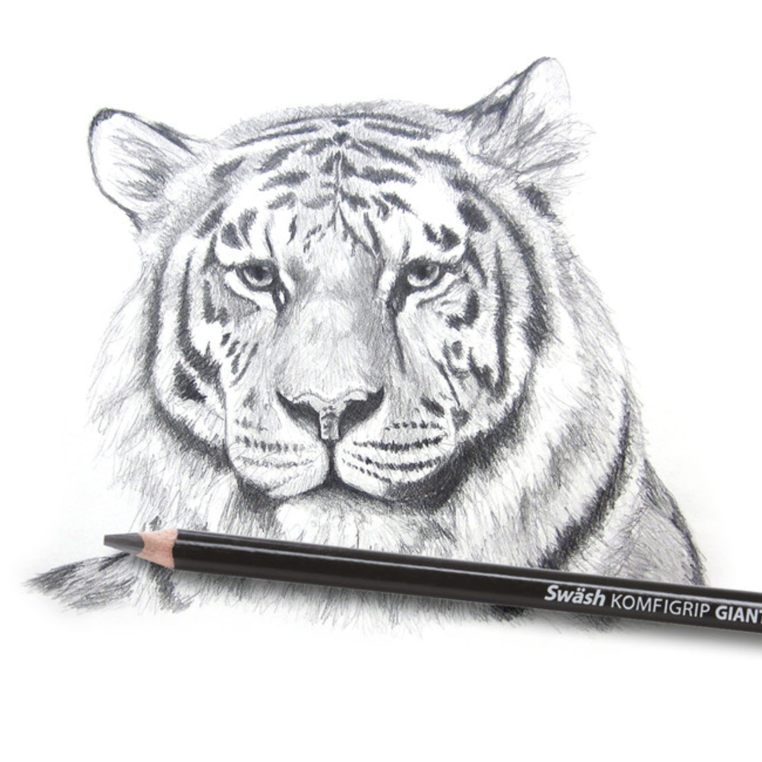 Swash Pencil with drawing