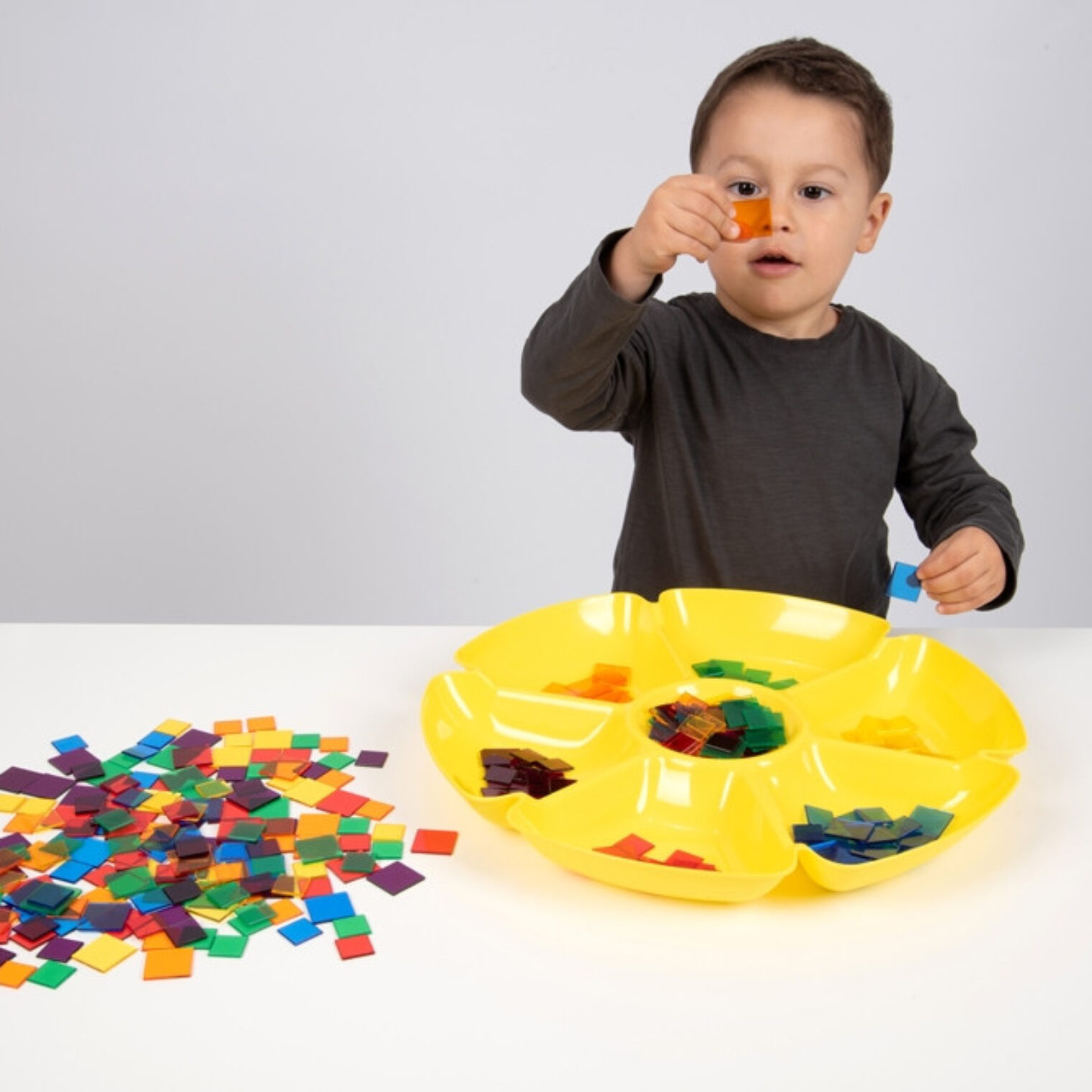 Flower sorting trays