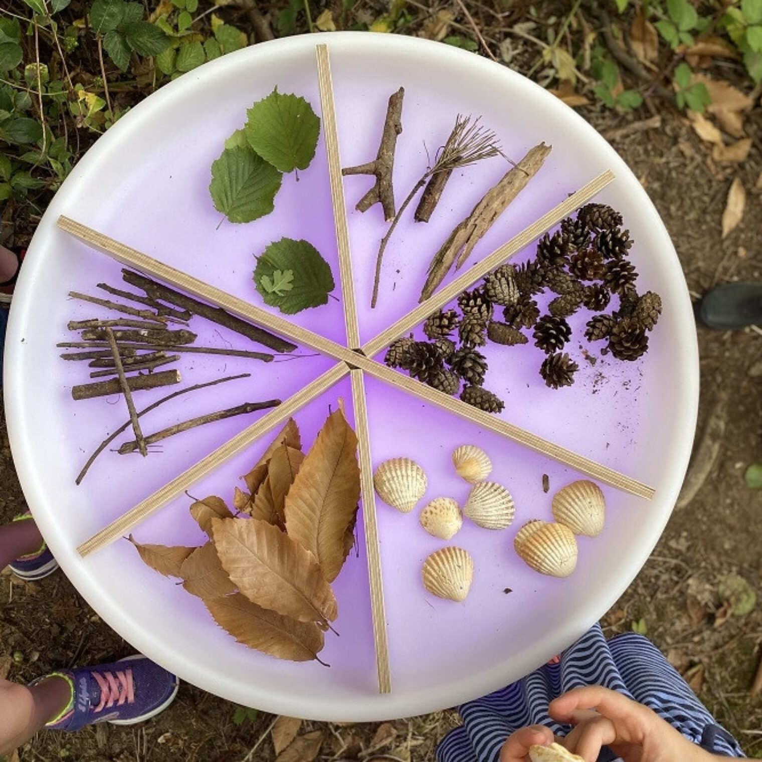 Sensory Mood Discovery Table and dividers