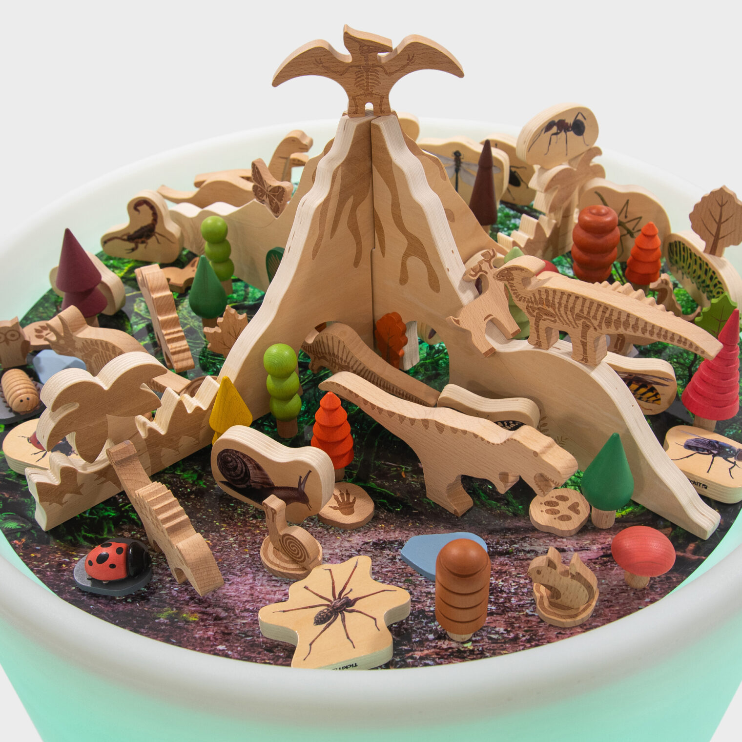 Sensory Table with Jurassic wooden accessories